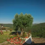 Casas Da Tia Alice - Encantadoras Em * 마프라