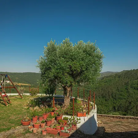 Casas Da Tia Alice - Encantadoras Em * Mafra