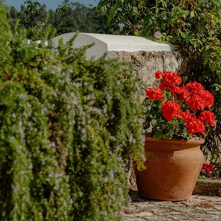 Casas Da Tia Alice - Encantadoras Em Casa vacanze *