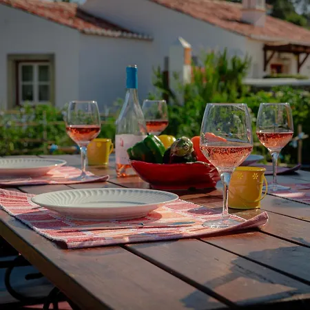 Casas Da Tia Alice - Encantadoras Em *