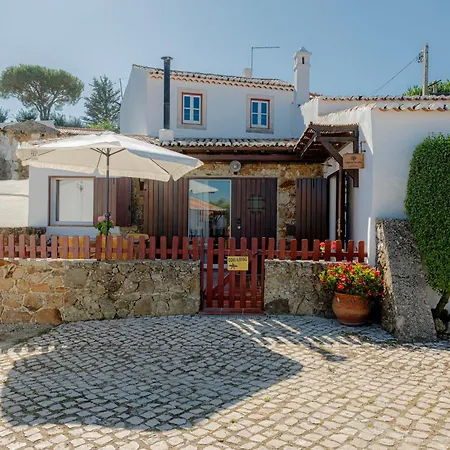 Casas Da Tia Alice - Encantadoras Em Casa vacanze *