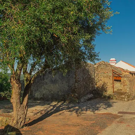 Casas Da Tia Alice - Encantadoras Em Casa vacanze *