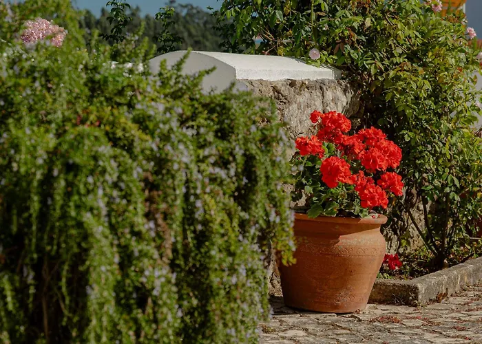 Casas Da Tia Alice - Encantadoras Em בית נופש *