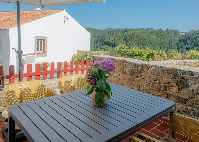 Casas Da Tia Alice - Encantadoras Em