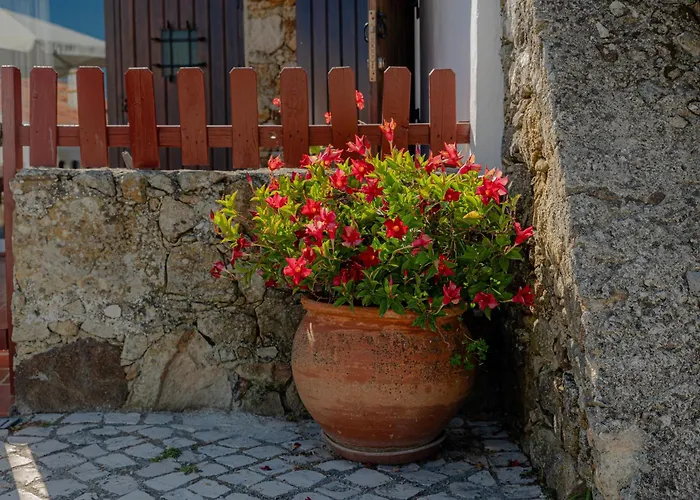 Casas Da Tia Alice - Encantadoras Em *